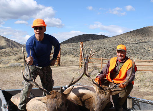 Elk Hunting Colorado