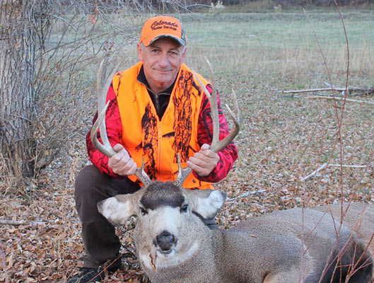 Mule Deer Hunt Colorado